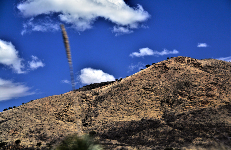 hillside